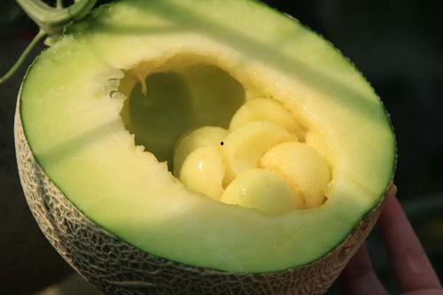 网纹瓜可以直接吃,可直接食用的天然美味