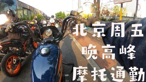 哈雷吃瓜完整视频,全程视频深度解析