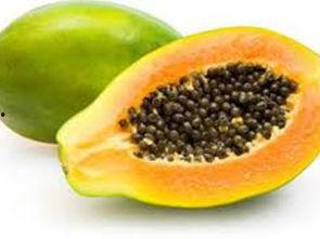 什么瓜吃籽,探寻吃籽生瓜的秘密之旅