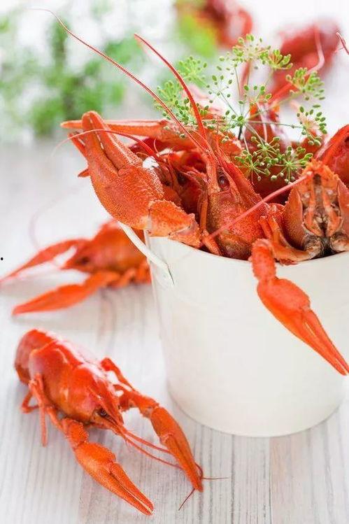 龙虾吃蕃瓜吗,探寻海洋与田园的跨界美食之谜