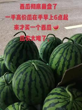深圳黄师傅吃瓜,深圳黄师傅的瓜田奇遇记