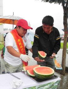 聚会吃瓜现场,瓜果飘香话家常