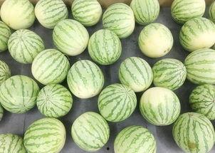 吃瓜的吃瓜下一句,揭秘娱乐圈背后的真相