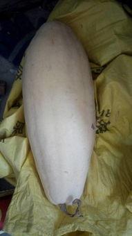 吃瓜大白事件,揭秘网络舆论背后的真相与反思