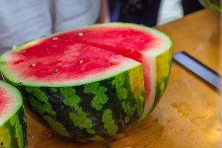 湖州吃瓜大达人,湖州吃瓜大达人的趣味人生