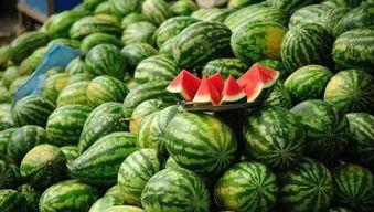 梦见卖柑子西瓜吃瓜,卖柑子西瓜，尽享甜蜜瓜果盛宴