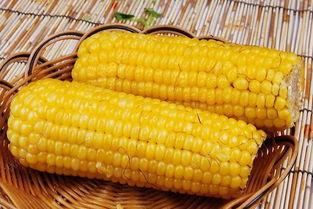 吃瓜可以吃玉米吗图片大全,吃瓜也能吃玉米，趣味图片大盘点