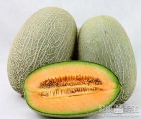 乐乐吃哈密瓜,乐乐的哈密瓜美食之旅