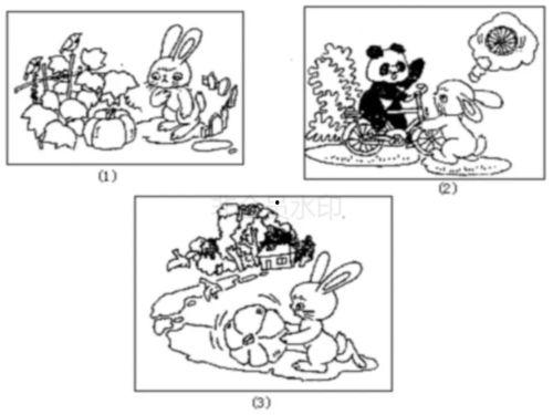 瓜园里吃瓜的看图写话,吃瓜群众的快乐盛宴