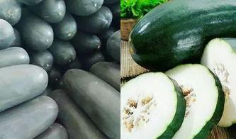 毕生之研吃瓜,揭秘“吃瓜群众”背后的心理奥秘