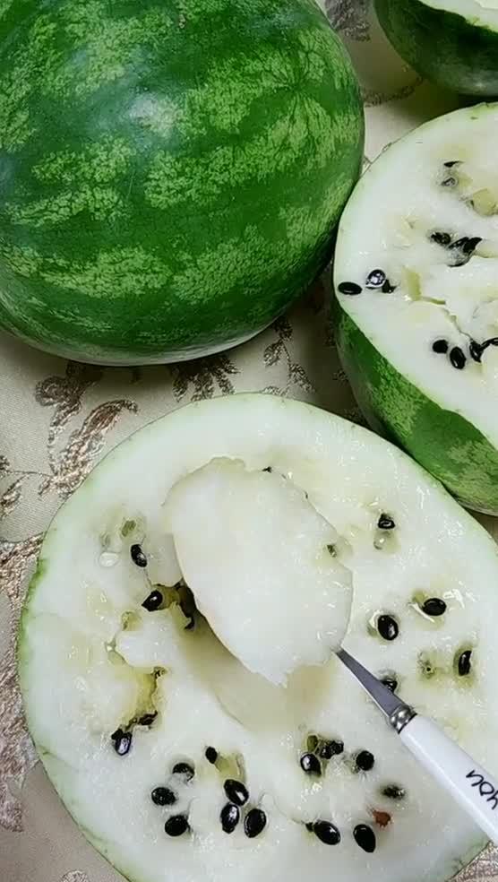 伊博东北吃瓜,一场别开生面的吃瓜盛宴