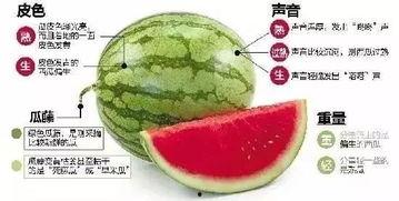 微信圈吃瓜,热点事件背后的真相与笑料