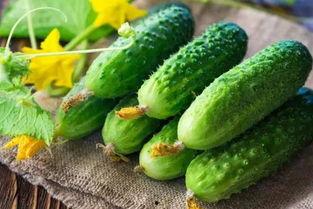 多久会吃瓜,揭秘吃瓜群众的心理周期