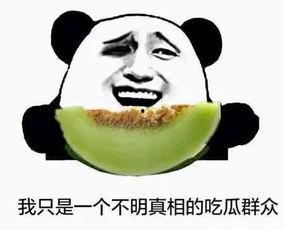 当不了领导吃瓜群众