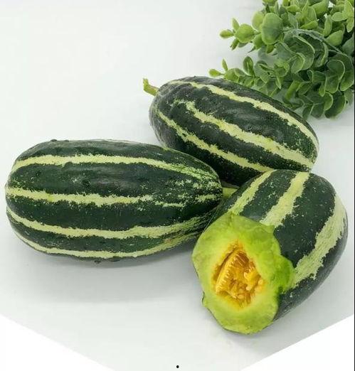 洋海湾吃瓜记,一场夏日里的欢乐盛宴