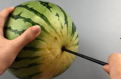 切西瓜吃瓜神器叉子,切瓜神器叉子的创新与魅力