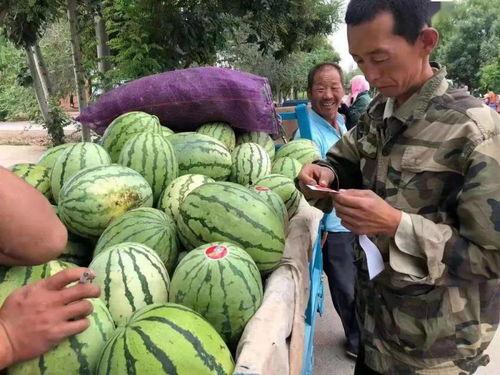 金昌老汉吃瓜,金昌老汉的夏日吃瓜奇遇记