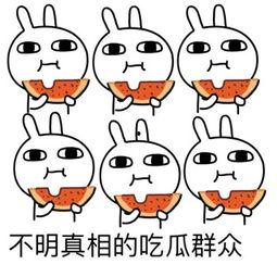 哈宝吃瓜群众,揭秘娱乐圈幕后风云  第2张