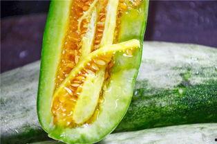 kx吃瓜版,揭秘娱乐圈幕后真相，带你领略明星们的真实生活  第3张