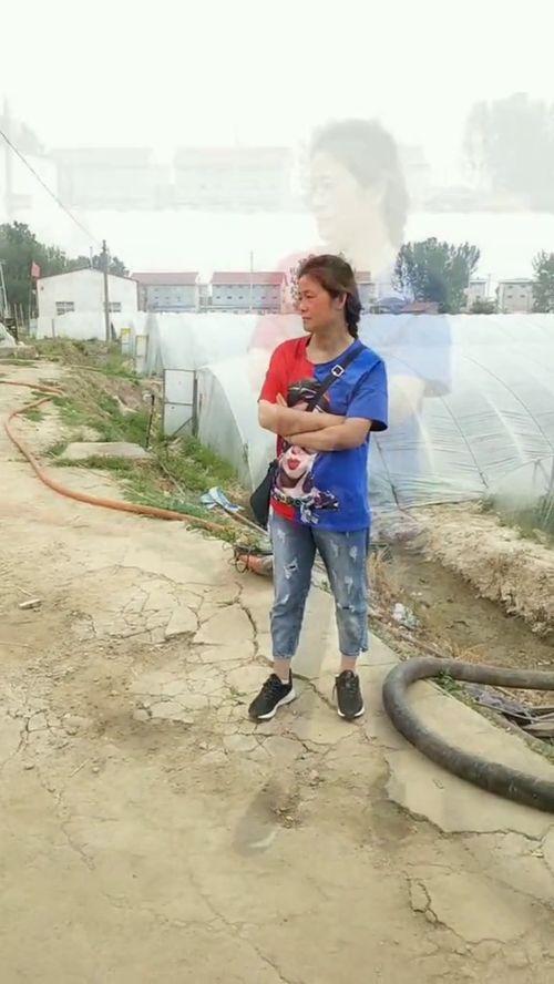 赣榆金洋吃瓜 第2张 赣榆金洋吃瓜 第2张