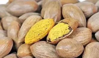 嵊州崇仁吃瓜,一场别开生面的吃瓜盛宴 第3张 嵊州崇仁吃瓜,一场别开生面的吃瓜盛宴 第3张