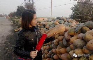 大哥大姐吃瓜,揭秘娱乐圈幕后真相 第2张 大哥大姐吃瓜,揭秘娱乐圈幕后真相 第2张