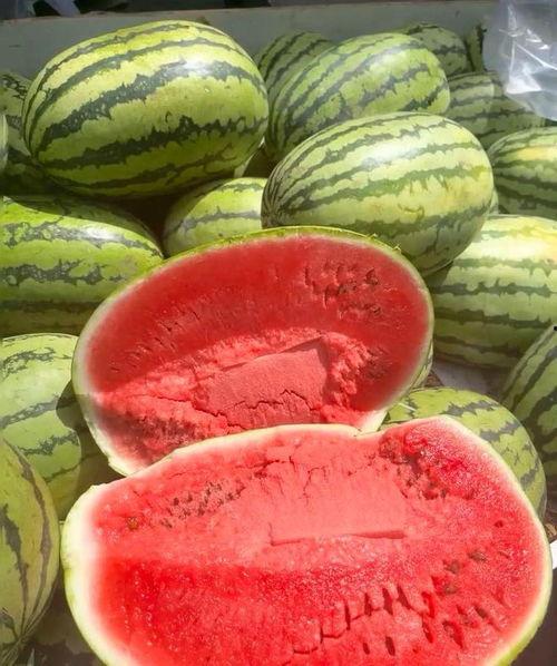 奇妙国国吃瓜,一场吃瓜盛宴背后的故事